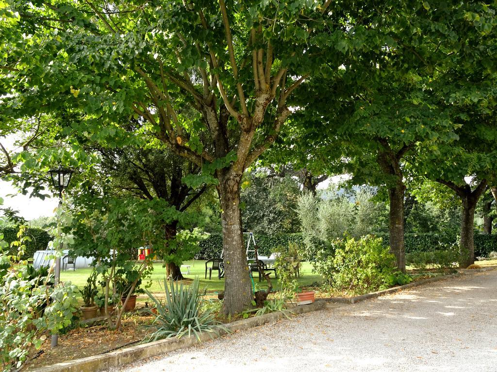 Bed and Breakfast Casa Dina Terontola Esterno foto